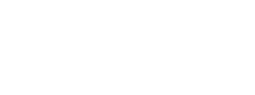 Capital Market Run